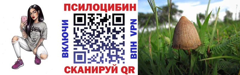 Псилоцибиновые грибы GOLDEN TEACHER  купить   OMG   Сатка 